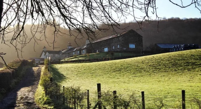 Номер Standard Bank Ground Farm