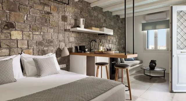 Полулюкс c 1 комнатой с видом на сад Manesis Suites