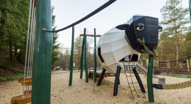 Люкс Center Parcs Bispinger Heide