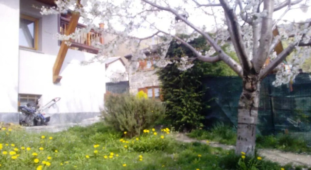 Апартаменты Casa Adriana