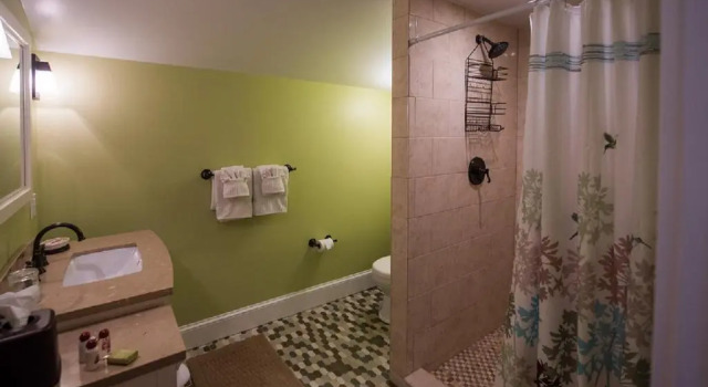 Двухместный люкс Saltair Inn Waterfront B&B