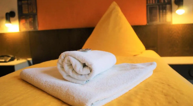 Номер Standard Hotel Simonis Koblenz