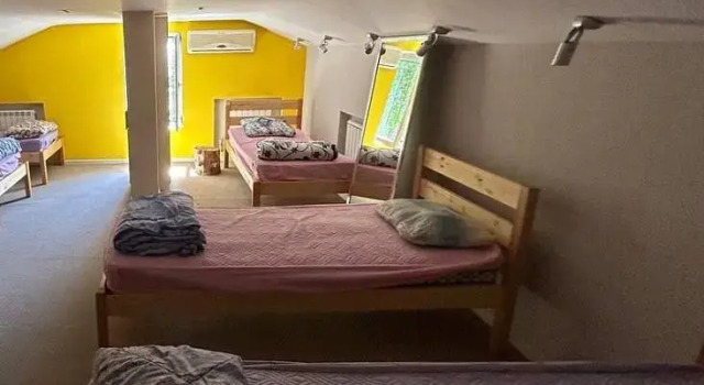 Bed in slaapzaal (slaapzaal voor vrouwen) Wanderlust Boutique Hostel