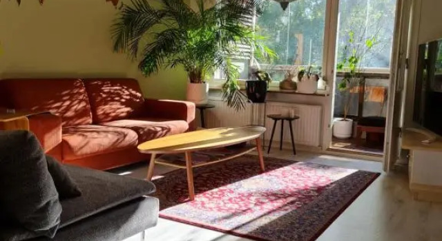 Paradise apartment