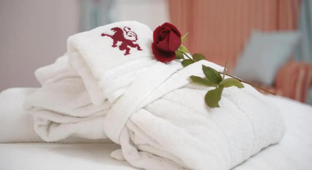 Номер Standard Hotel Schloss Leonstain