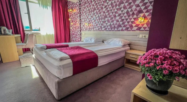 Номер Standard Hotel Rila