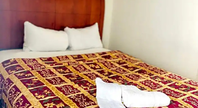 Двухместный номер Standard Miami Springs Inn