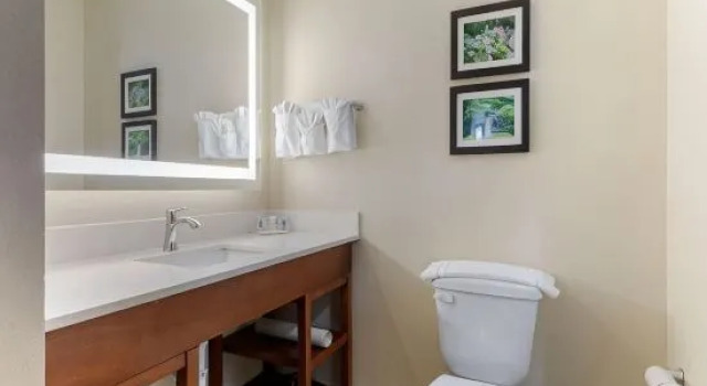 Люкс Comfort Suites West Monroe near Ike Hamilton Expo Center