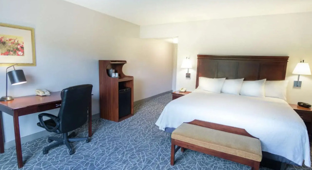 Номер Standard Hampton Inn & Suites Berkshires-Lenox
