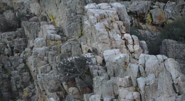 Alojamiento la cañada monfrague, Prenota Hotel Torrejón el Rubio 