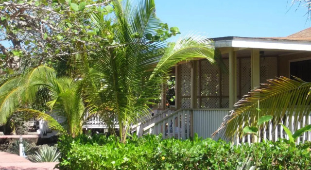 Бунгало с балконом Seagrape Plantation Resort & Dive Center