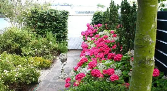 B&B Boterton, Prenota Bed & breakfast Koog aan de Zaan Zaanstreek