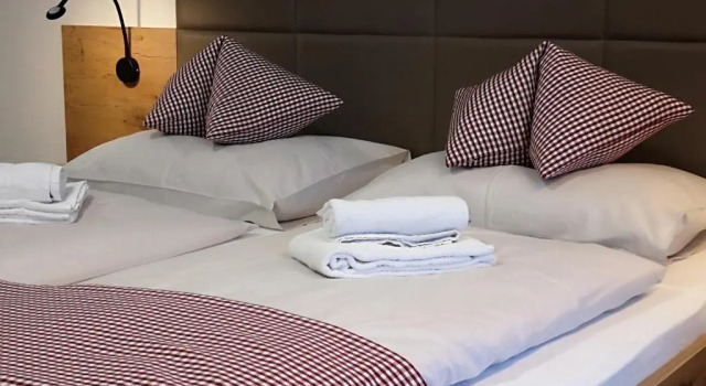 Двухместный номер Standard с видом на горы Hotel Aschauer Hof zFritzn