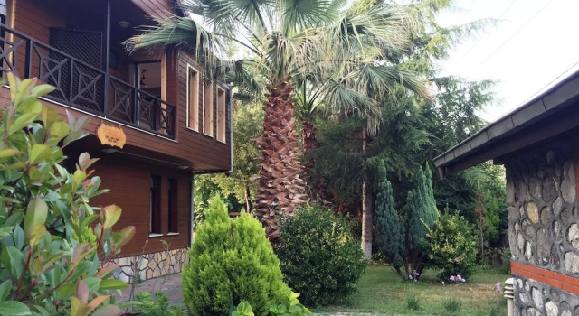 Suite z widokiem na basen Robin's Nest
