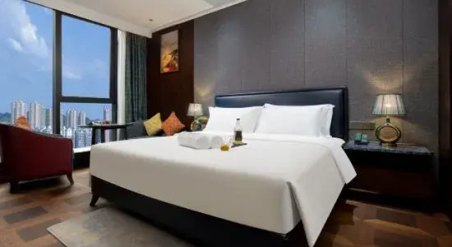 Люкс Deluxe ZCXX International Hotel