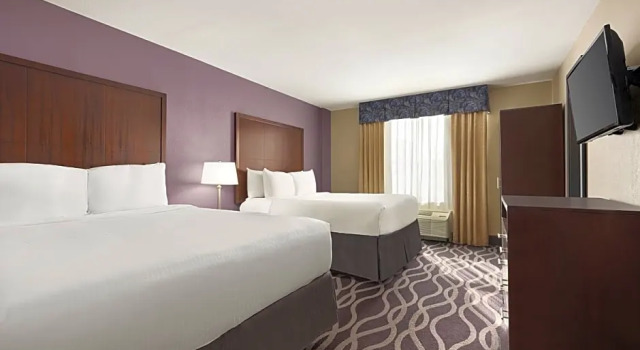 Шестиместный номер Standard Best Western PLUS Dallas Hotel & Conference Center