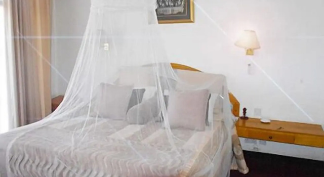 Standard- værelse Regency Hotel Flamboyant