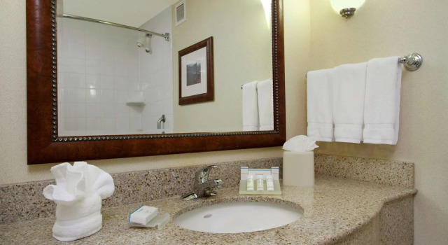 Четырёхместный номер Standard Hilton Garden Inn Columbus-University Area