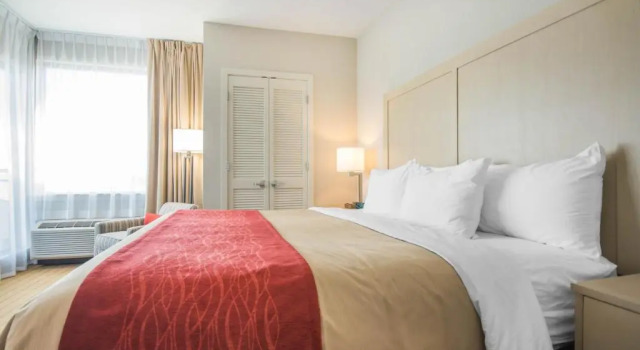 Люкс Comfort Inn & Suites