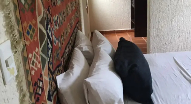 Двухместный номер Standard Hostel Kaana 4 You