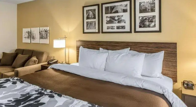 Люкс Standard Sleep Inn & Suites Jasper I-22