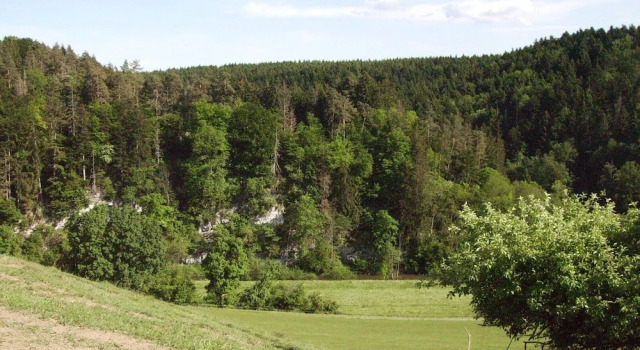 Апартаменты Welcoming Apartment in Niedereschach OT Kappel near Lake