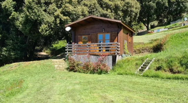 Шале Casa Sarrinca