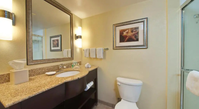 Номер Standard Holiday Inn Titusville/Kennedy Space Center by IHG