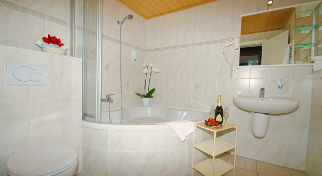 Двухместный номер Comfort Belle Epoque Hotel Victoria & Apartments