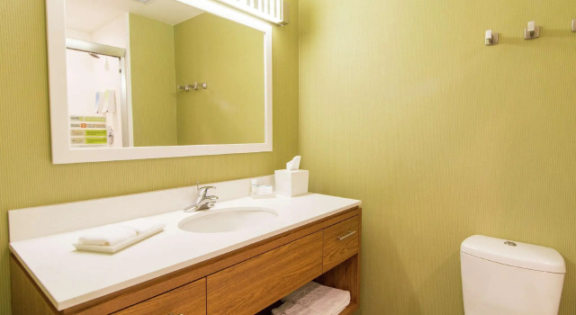 Двухместный люкс Home2 Suites by Hilton Atlanta Newnan