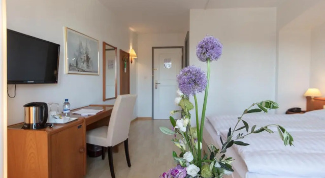 Двухместный номер Economy Hôtel de la Rose