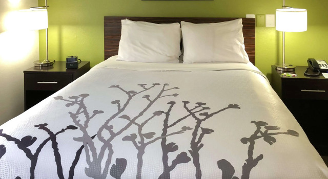 Sleep Inn, Reserva ahora Hotel Hoteles en Georgia con piscina, Piscina