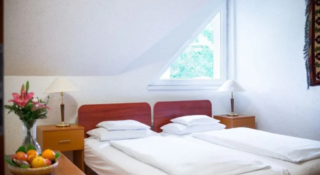 Номер Standard Wellness Hotel Szindbád