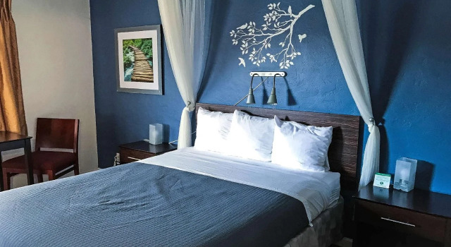 Americas Best Value Inn Golden Bear Inn