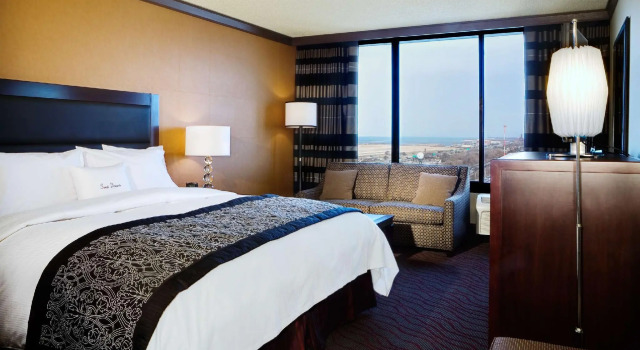 Двухместный номер Standard DoubleTree by Hilton Hotel Cleveland Downtown - Lakeside