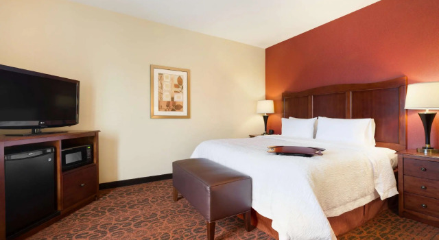 Двухместный номер Standard Hampton Inn & Suites Williston