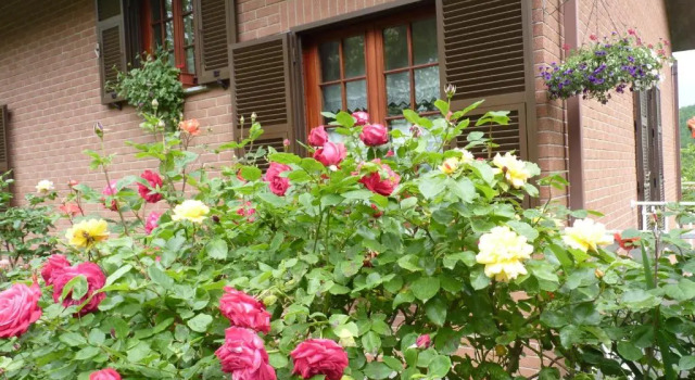 B&B The Roses Garden, Réserver Chambre d'hôtes Millesimo Ligurie