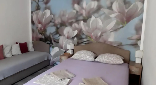 Номер Standard Vicky Apartments