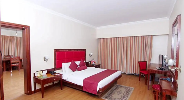 Номер Deluxe Joys Palace Hotel