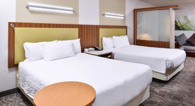 Четырёхместный номер Standard SpringHill Suites Temecula Valley Wine Country