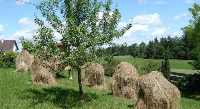 Апартаменты Ferienwohnung Freißl