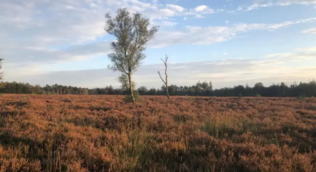 Pets Welcome, Veluwe Farmhouses for All, Rezerwuj Hotel Hotele w Veluwe z parkingiem, Parking