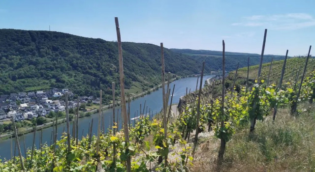 Апартаменты Auszeit Rhein-Mosel