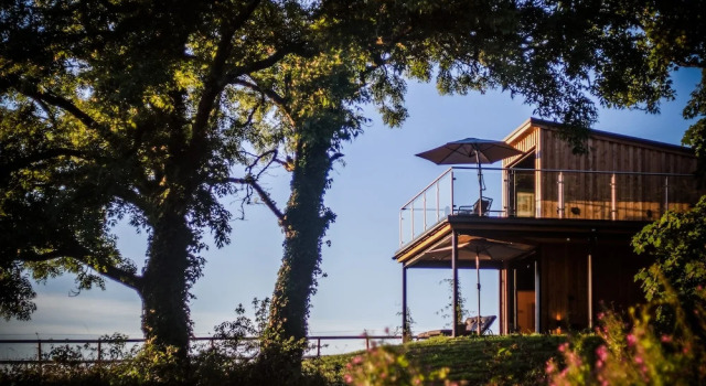 Tawny Lodge - 1 Bedroom - Blossom Farm
