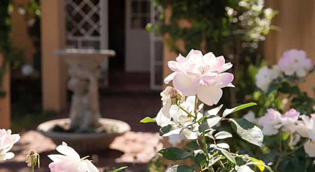 Roses And Pebbles B & B Guest House, Book Pension Billige hoteller i Klerksdorp