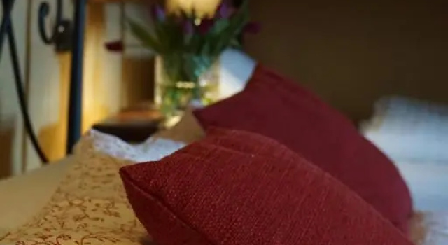 Номер Deluxe Agritur Maso Carpenè