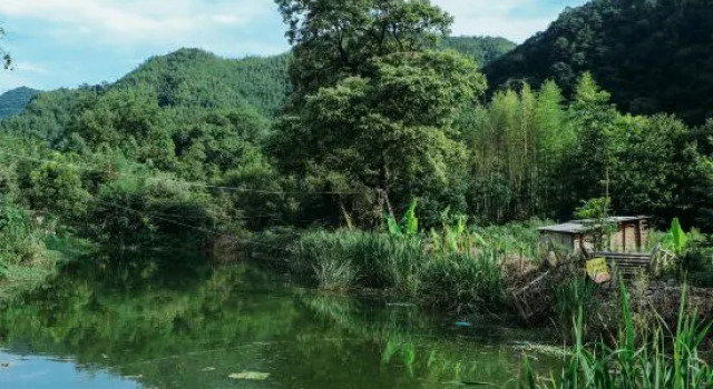 Xuancheng Jinguchun Farm stay, Rezerwuj Pobyt na farmie Xuancheng Anhui