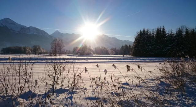 Schwaiger Appartements Zell am See
