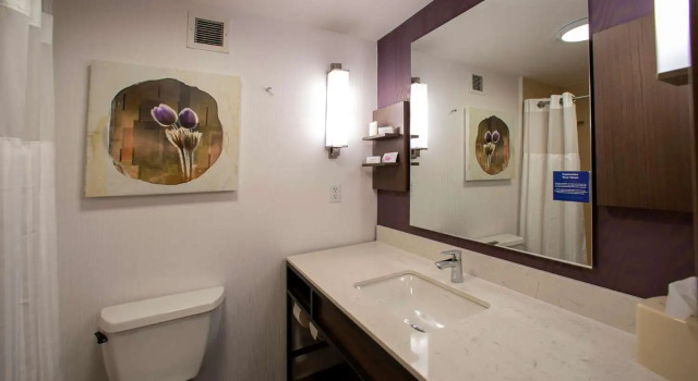 Полулюкс Hilton Garden Inn Rapid City