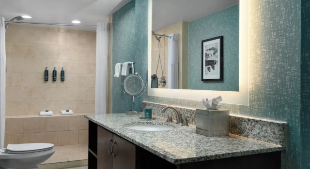 Double suite junior DoubleTree by Hilton Norfolk Airport